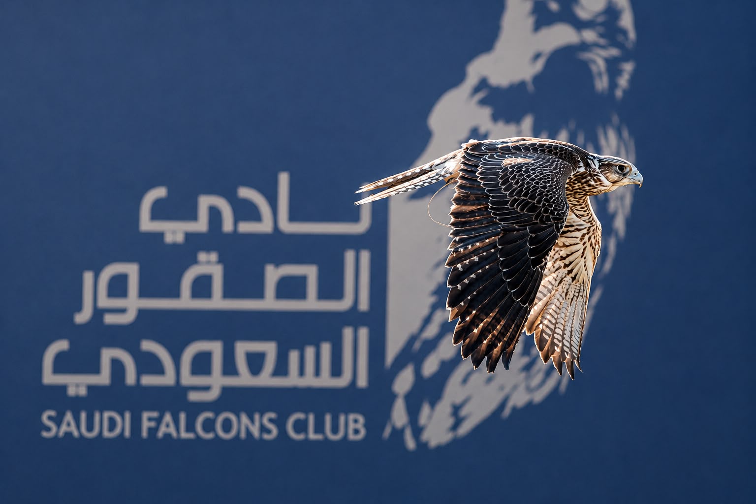 نادي الصقور السعودي